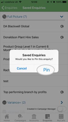 How to pin a saved enquiry 4-01