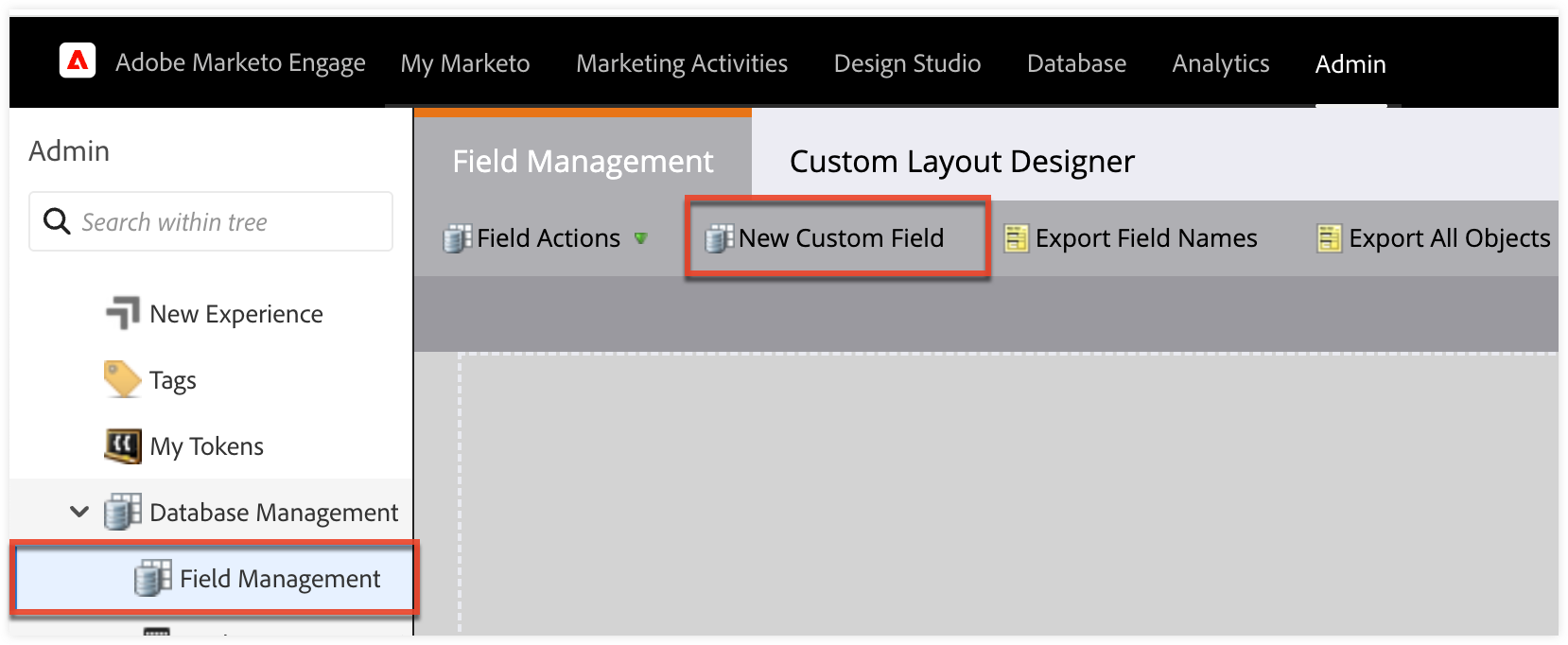 Marketo_FieldManagement_NewCustomField
