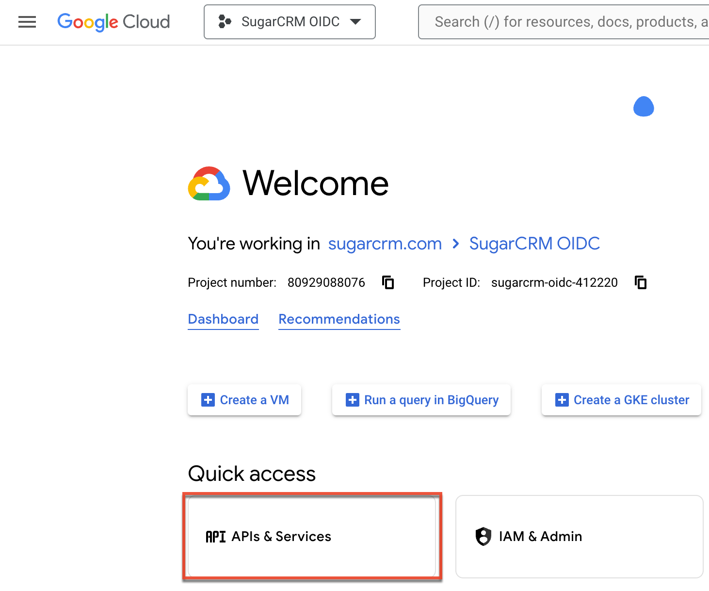 ConfiguringSSOWithGoogleUsingOIDC_QuickAccess_APIs&Services